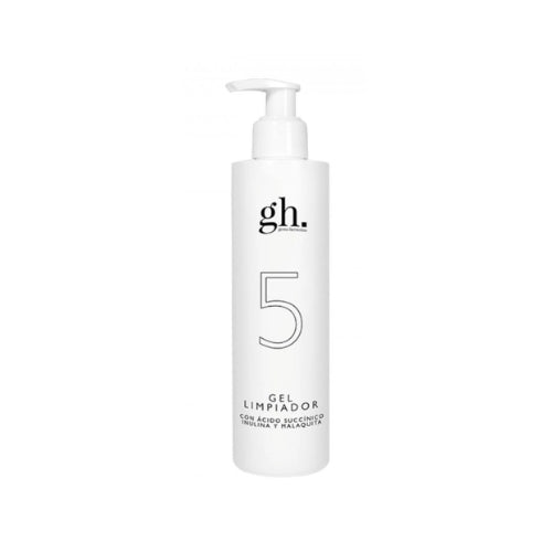 GH - 5 Gel Limpiador 250ML